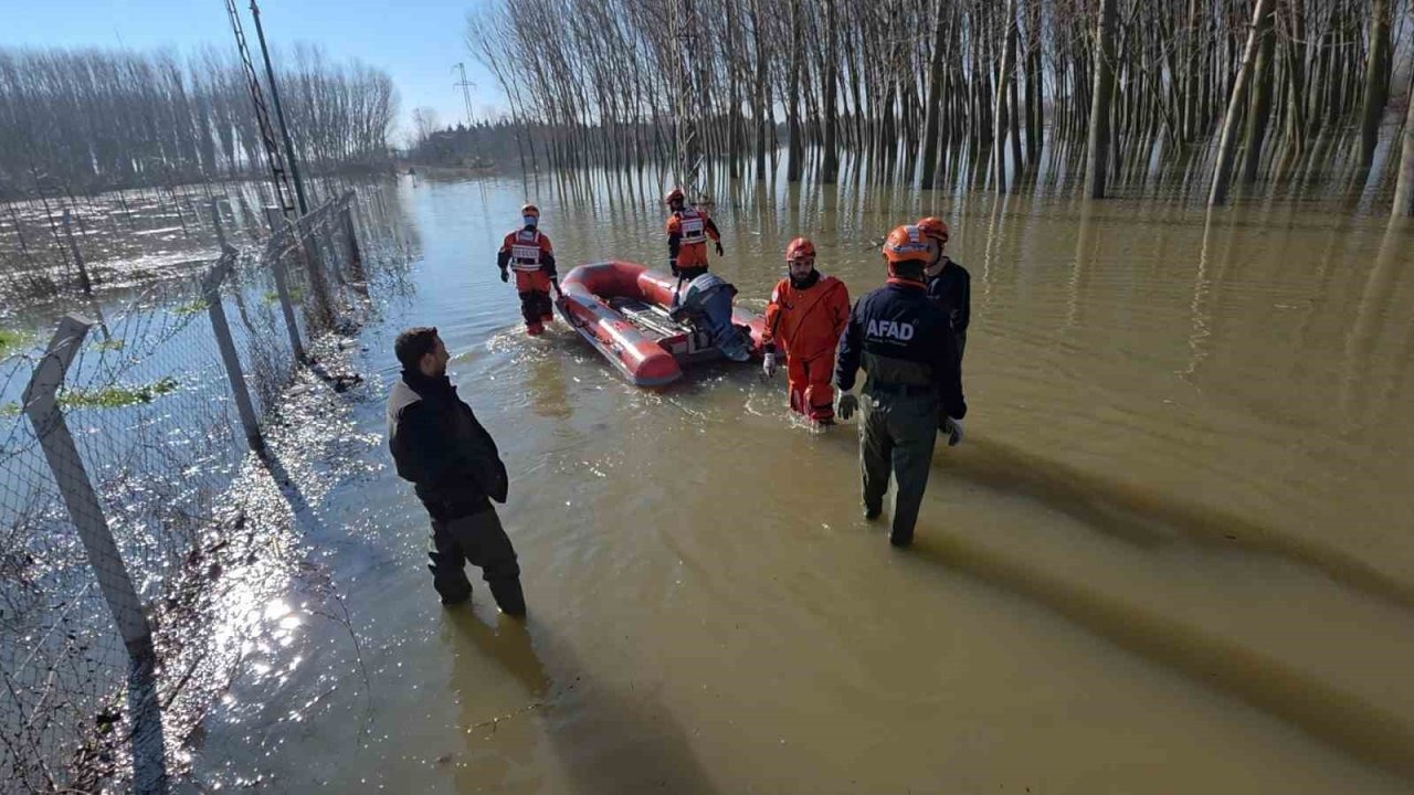 Koyunlar botlarla kurtarıldı