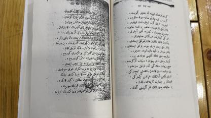 113 Yıllık Sessizlik Bozuldu: Balkan Türklerinin Kayıp Destanı "Uslu ile Süslü" Iğdır’da Can Buldu!