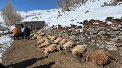 Başkale’de Korkutan Ahır Yangını: 68 Hayvan Can Verdi