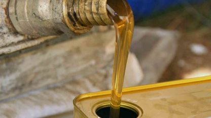 Türk Balı İhracatında Ar-Ge Hamlesi: Hedef 250 Milyon Dolar