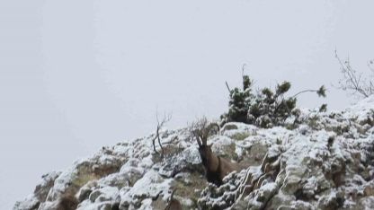Erzurum İl Av Komisyonu 2026-2027 Av Dönemi Kararlarını Belirledi