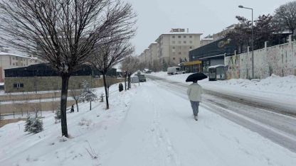 Mart'ta Kış Geri Döndü: Van'da Hayatı Felç Eden Kar Yağışı