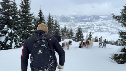 Kışlada aylarca kar altında mahsur kalan atları köyün gençleri kurtardı