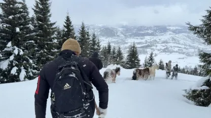 Kışlada aylarca kar altında mahsur kalan atları köyün gençleri kurtardı