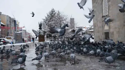 Dikkat! Meteoroloji Bölge İçin Alarm Verdi: Çığ ve Don Uyarısı