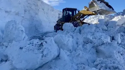 Muş'ta Yoğun Tipi Nedeniyle Yollarda Mahsur Kalanlar Kurtarıldı