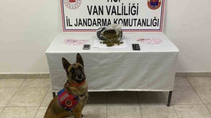 Van’da Uyuşturucu Operasyonu: 1 Kilo 64 Gram Skunk Ele Geçirildi