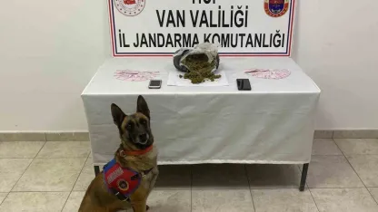 Van’da Uyuşturucu Operasyonu: 1 Kilo 64 Gram Skunk Ele Geçirildi
