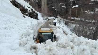 Bahçesaray'da Çığ Paniği: Facianın Eşiğinden Dönüldü
