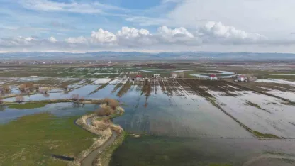 Muş Ovası’nda Kar Suları ve Sağanak Yağış Tarım Arazilerini Su Altında Bıraktı