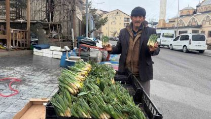 Karla Karışık Yağmur Engel Olmadı: Hakkari’de "Pancar" Mesaisi Başladı!