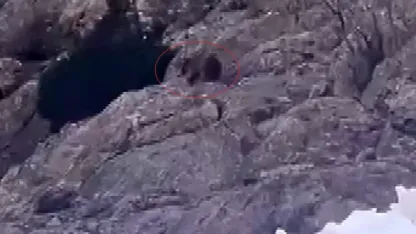 Kameraya Yansıyan Yaşam Mücadelesi: Şırnak’ta Aç Kalan Ayı Kar Altında Yiyecek Aradı