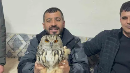 Kars’ta Yaralı ve Güçten Düşmüş Puhu Kuşu Koruma Altına Alındı