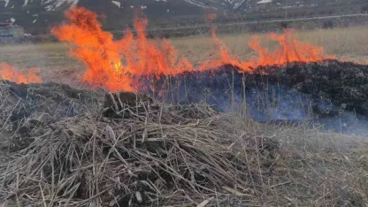 Van Gevaş’ta Çıkan Anız Yangını İtfaiye Ekiplerince Söndürüldü
