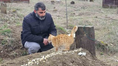 Muş’ta Eşinin Bıçakladığı Seyithan Balaman’ın Kedilerinden Vefa Nöbeti