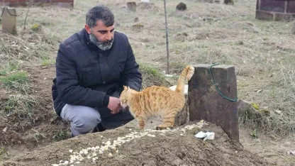 Muş’ta Eşinin Bıçakladığı Seyithan Balaman’ın Kedilerinden Vefa Nöbeti