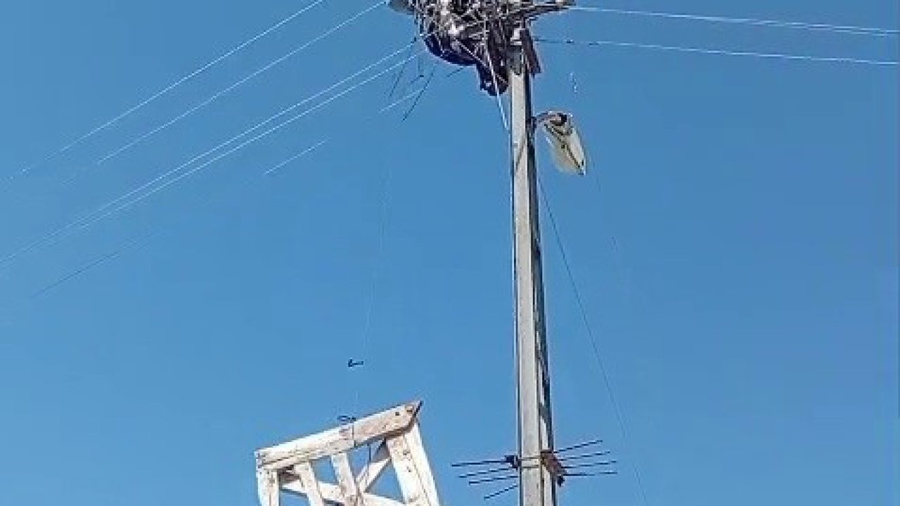 Aras Elektrikten Doğa Dostu Hassasiyet