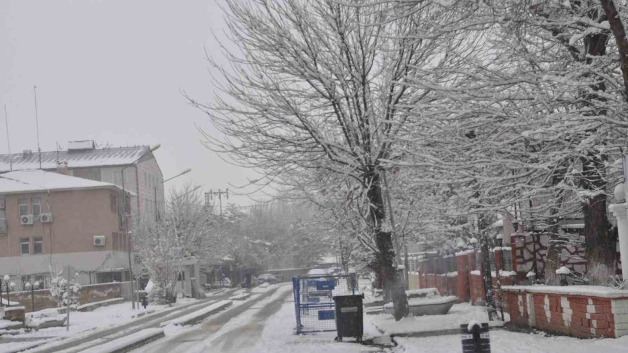 Bahar Beklerken Kar Felaketi: Bulanık Güne Kar Altında Uyandı