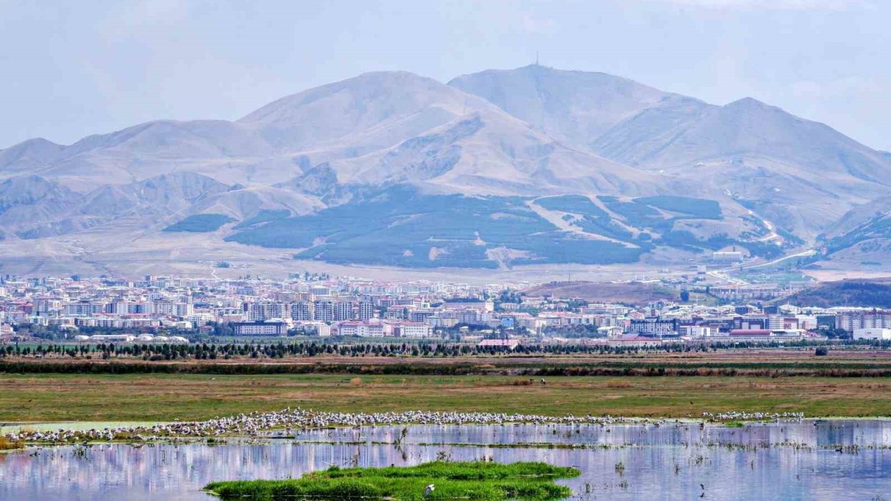 Bakü’den Erzurum’a Gelemeyen 20 Vagon Ekipman: Erken Cumhuriyet Döneminin Stratejik Enerji Hamlesi