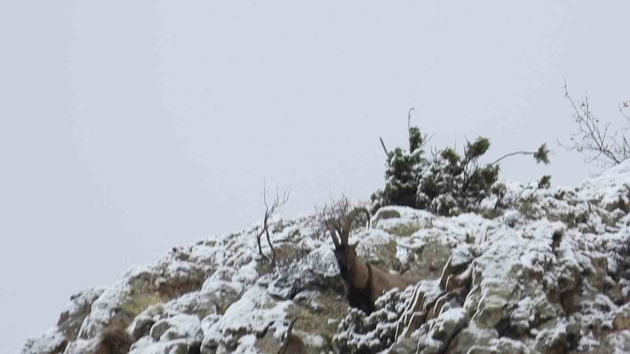 Erzurum İl Av Komisyonu 2026-2027 Av Dönemi Kararlarını Belirledi