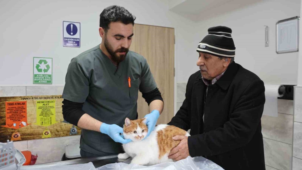 Fırat Üniversitesi Hayvan Hastanesi: Doğu Anadolu’nun Şifa Merkezi