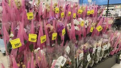 Iğdır’da 8 Mart Mesaisi: Şehir Çiçek Bahçesine Döndü!