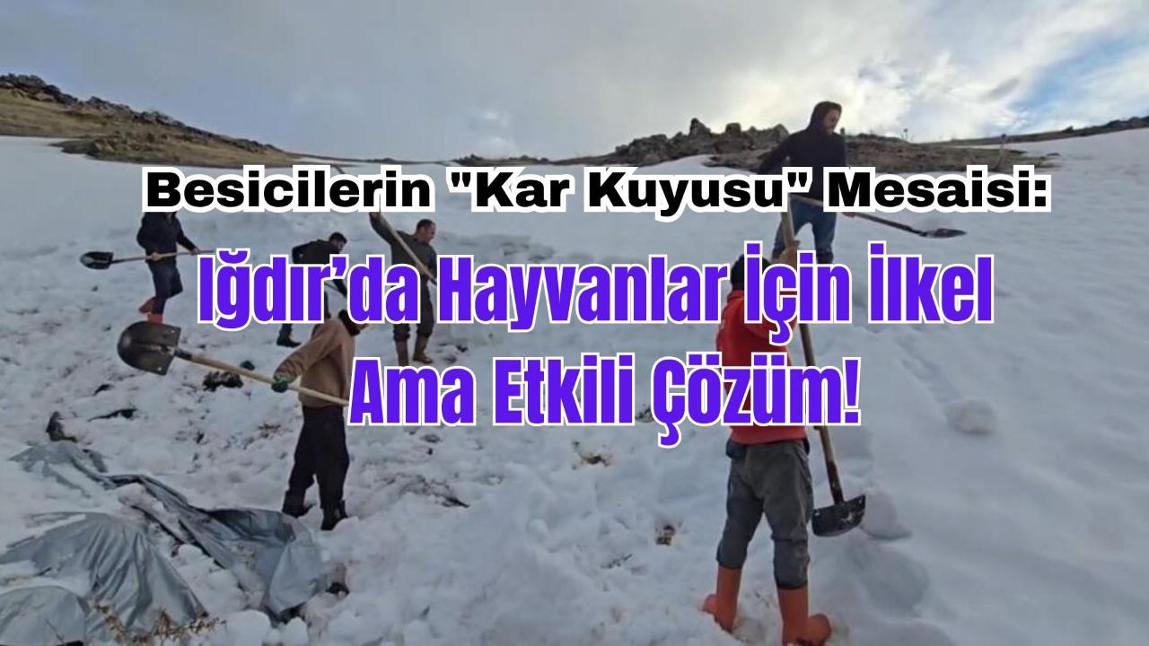 Iğdır Bulakbaşı Köyünde Susuzluğa Kar Seti: Dağın Karını Suya Dönüştürüyorlar