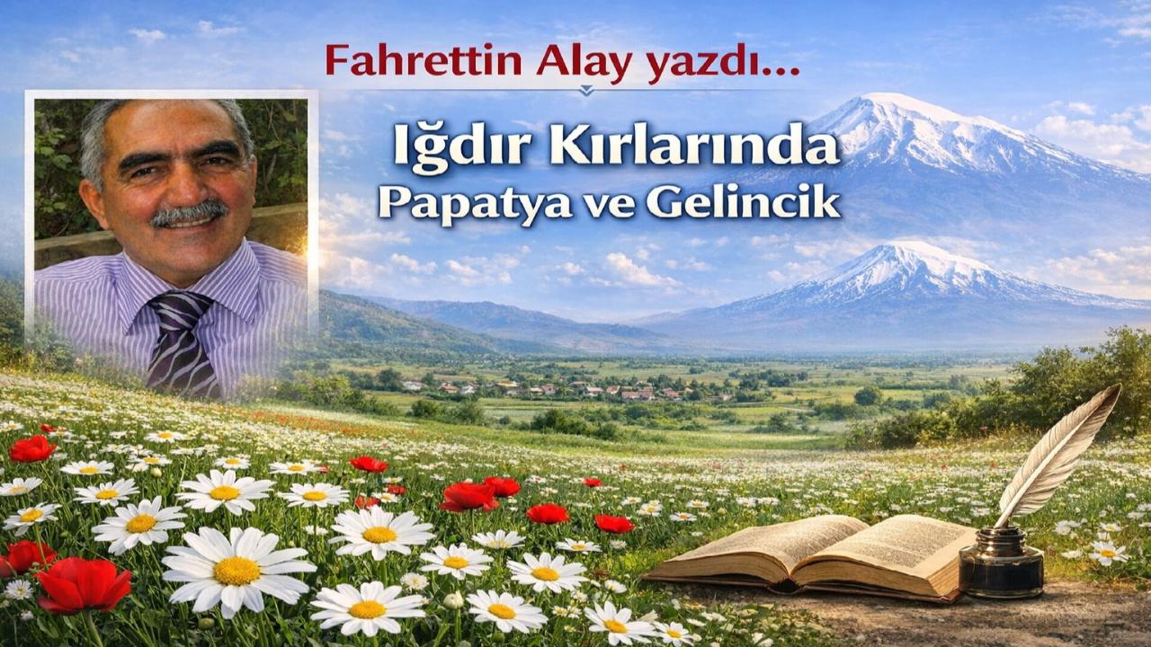 Iğdır Kırlarında Papatya ve Gelincik