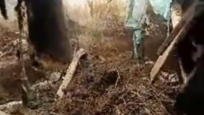 Iğdır Tuzluca’da Ahır Çöktü: Hayvanlar Son Anda Kurtarıldı