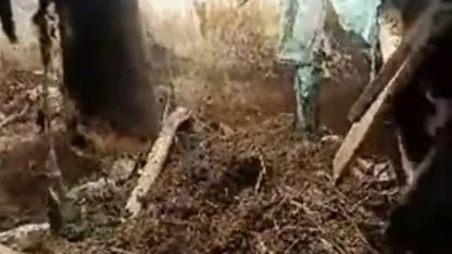 Iğdır Tuzluca’da Ahır Çöktü: Hayvanlar Son Anda Kurtarıldı