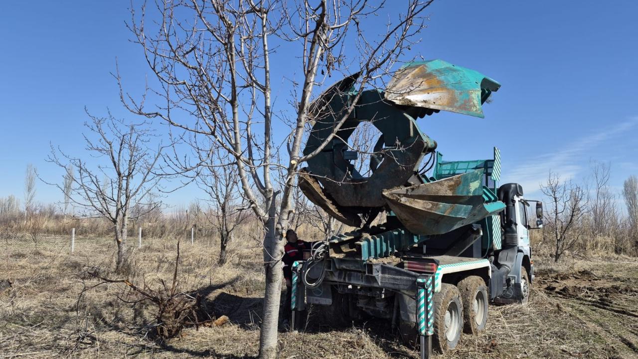 Iğdır’da 15 Yıllık Kiraz Ağaçları Teknolojiyle Hayata Tutundu!