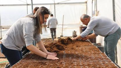 Iğdır’da Bahar Hazırlığı: Park ve Bahçeler Müdürlüğü’nden Rengârenk Çalışma!