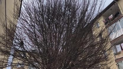 Iğdır’da Baharın Habercisi: Sabah Konseri ve Vatandaşın Vefası