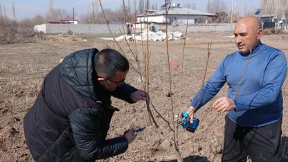 Iğdır’da Budama Seferberliği: Çiftçiye Sahada Uygulamalı Eğitim