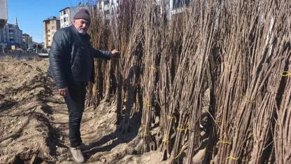 Iğdır’da Fidan Satışları Başladı! Bahar Hareketliliği Yaşanıyor