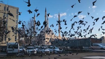 Iğdır’da Gönülleri Isıtan Manzara: Havalar Isındı, Vefa Değişmedi