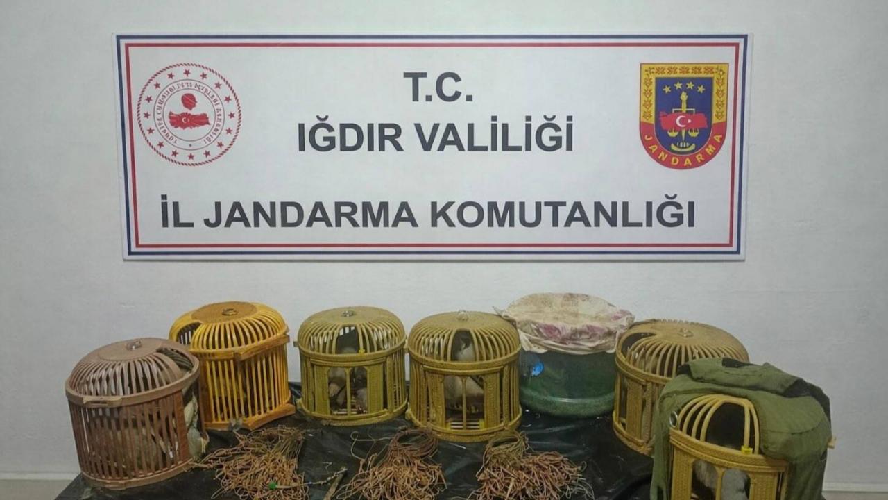 Iğdır’da Kaçak Avcılara Ağır Darbe: 175 Bin TL Ceza Kesildi!