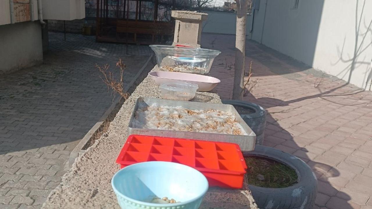 Iğdır’da Trajikomik Hırsızlık: Vatandaş “İsteselerdi Verirdim” Diyerek Sitem Etti