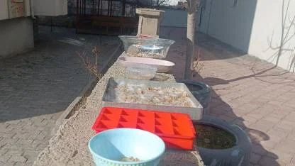 Iğdır’da Trajikomik Hırsızlık: Vatandaş “İsteselerdi Verirdim” Diyerek Sitem Etti