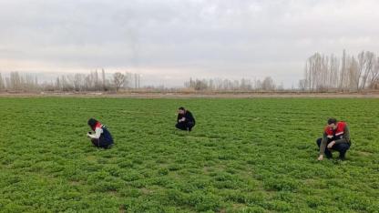 Iğdır’da Yonca Üreticisine "Hortumlu Böcek" Uyarısı: Mücadele Zamanı Başladı!