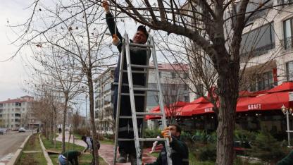 Iğdır’ın Nefes Alanı Yeşil Kuşak’a Estetik Dokunuş: Ekipler Sahada!