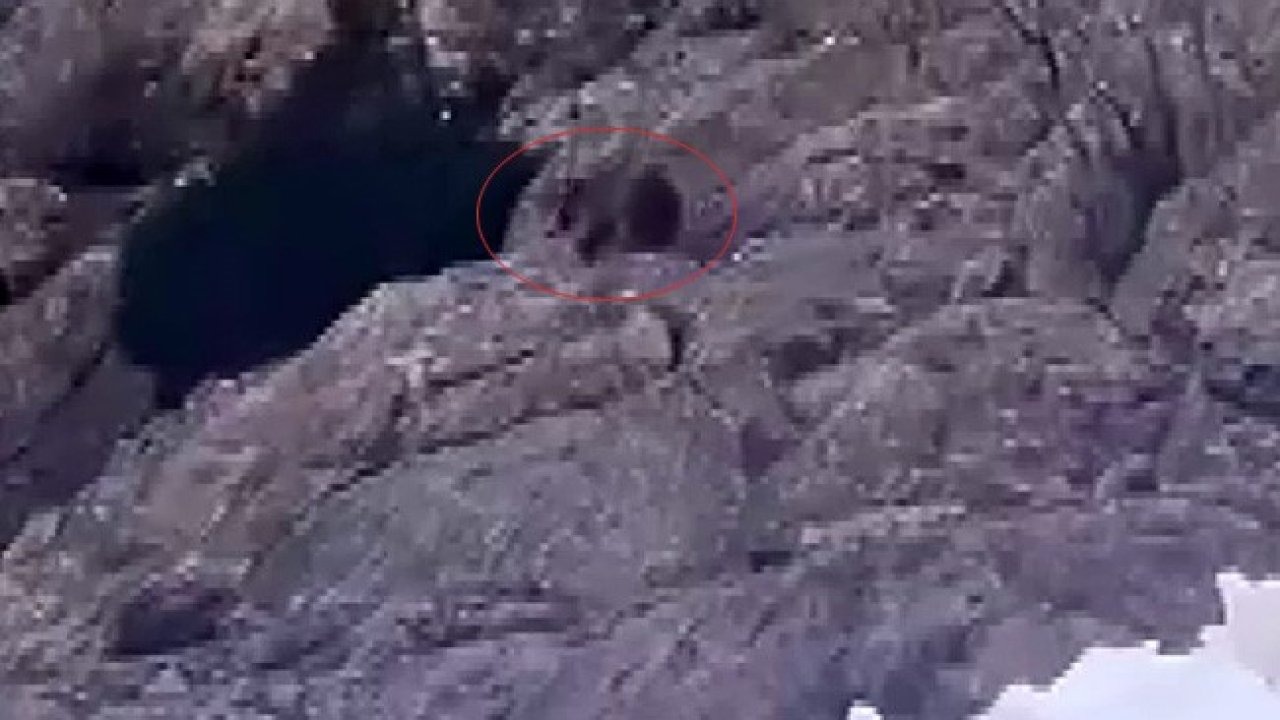 Kameraya Yansıyan Yaşam Mücadelesi: Şırnak’ta Aç Kalan Ayı Kar Altında Yiyecek Aradı