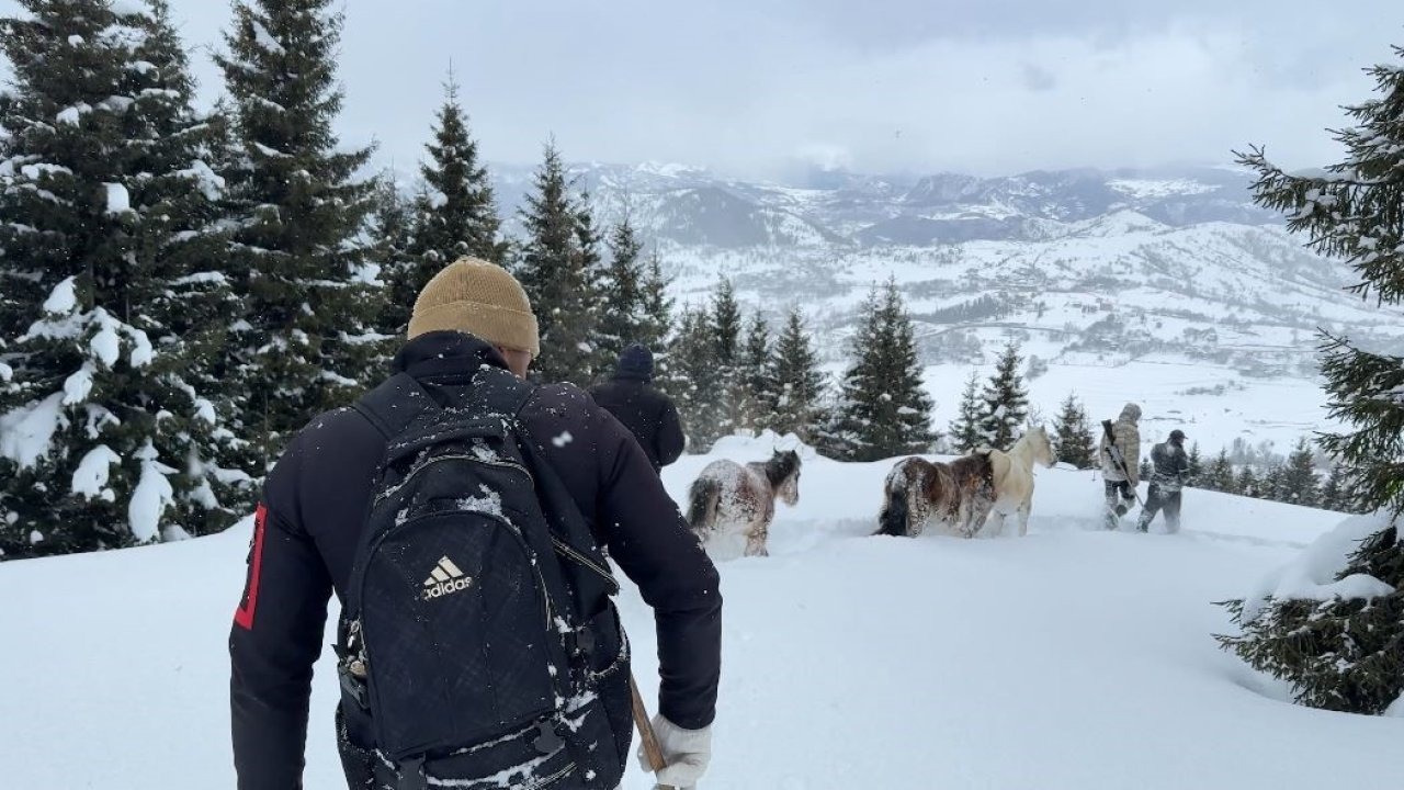 Kışlada aylarca kar altında mahsur kalan atları köyün gençleri kurtardı