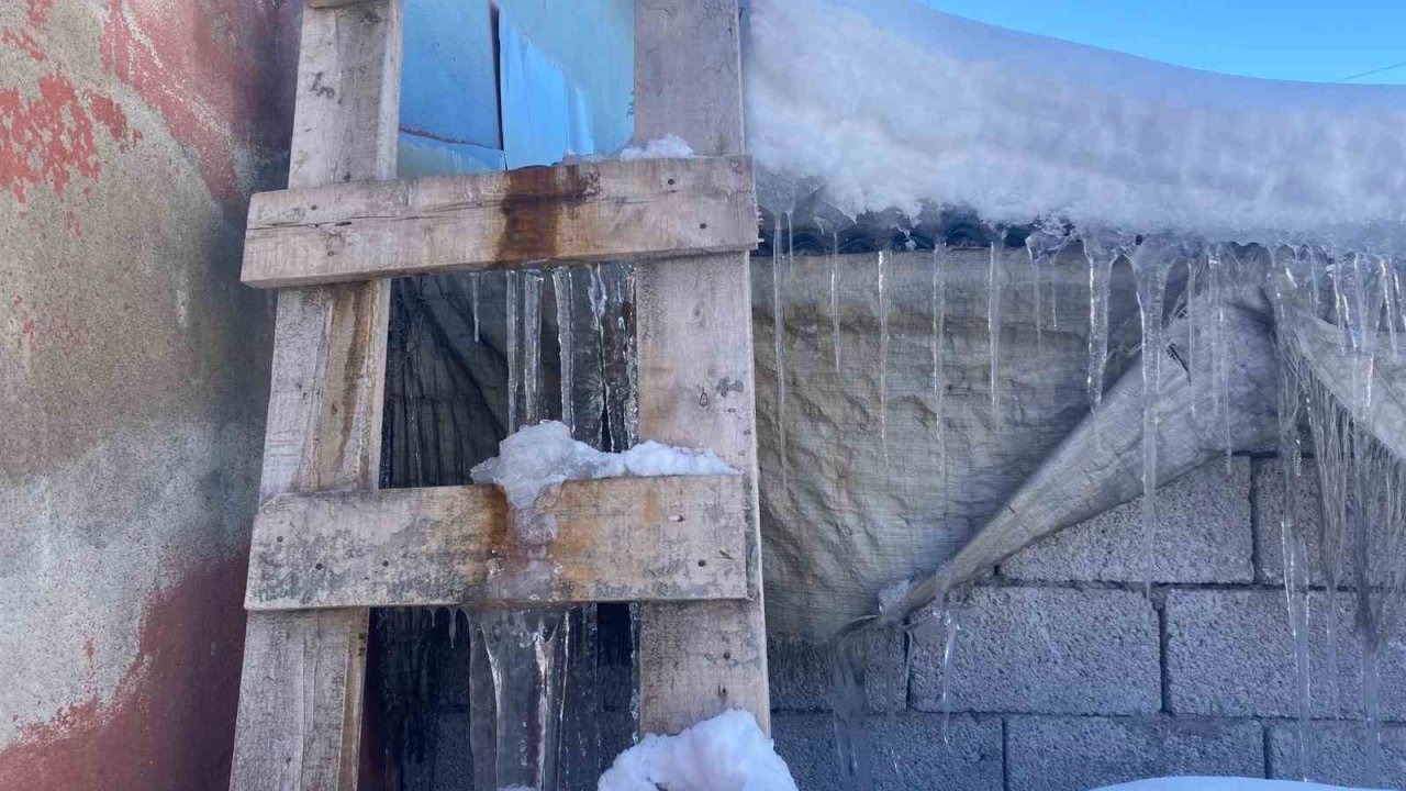 Patnos’ta Mart Ayı Kışı: Kar Sonrası Don ve Buz Sarkıtları