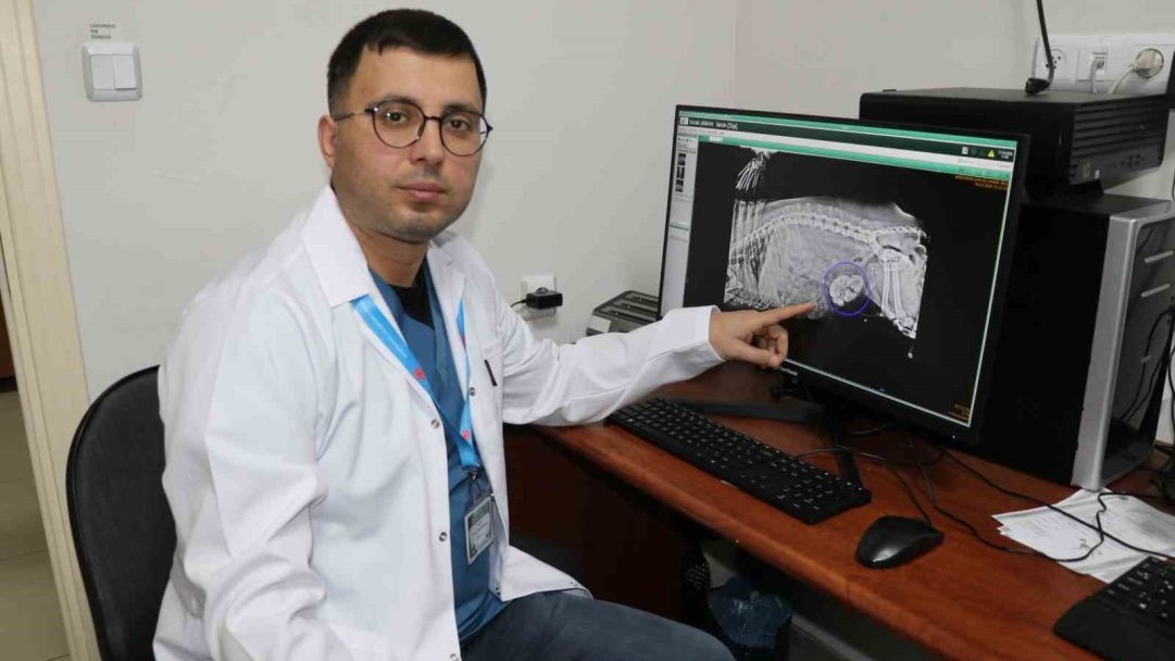 Tarçın’ın Mucize Kurtuluşu: İdrar Kesesinden Çıkanlar Doktorları Bile Şaşırttı