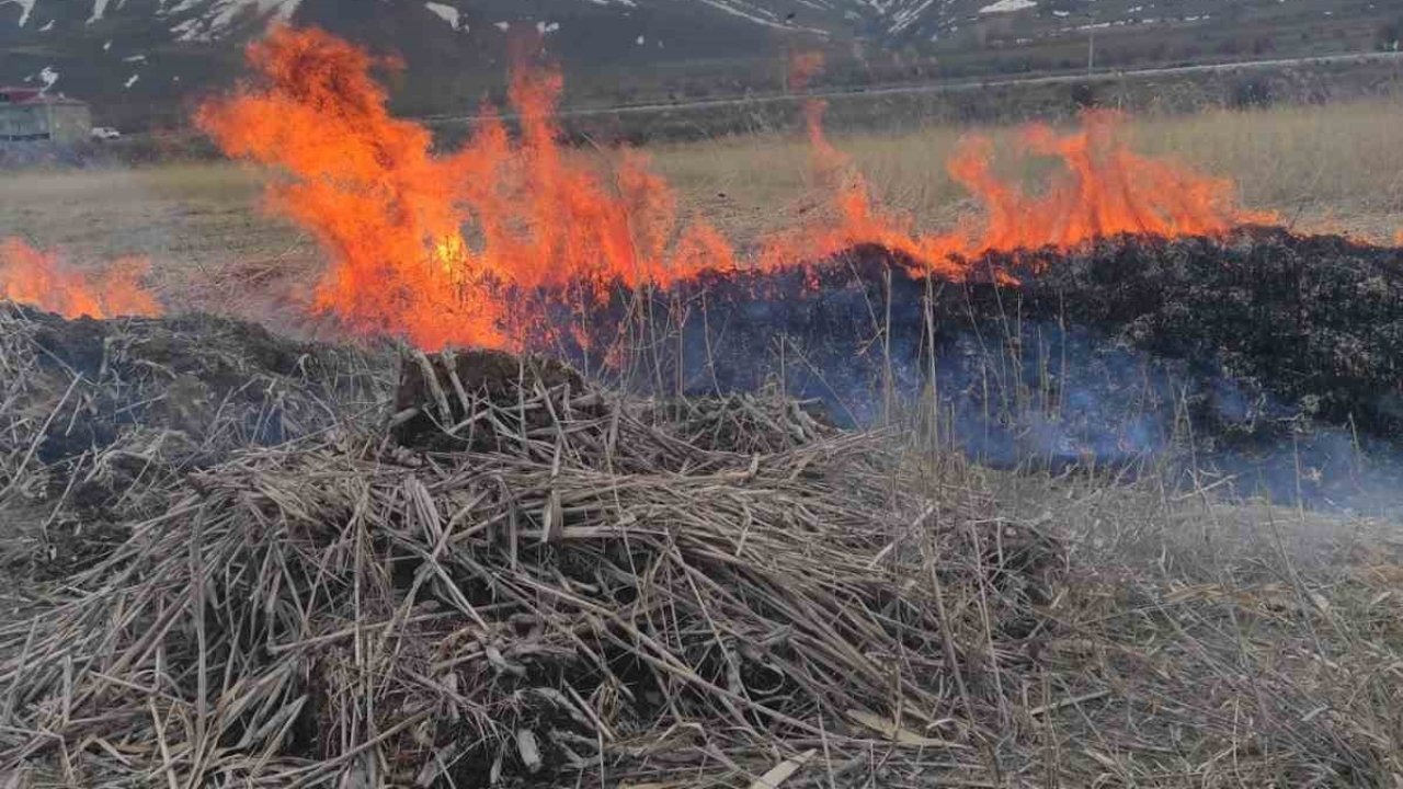 Van Gevaş’ta Çıkan Anız Yangını İtfaiye Ekiplerince Söndürüldü