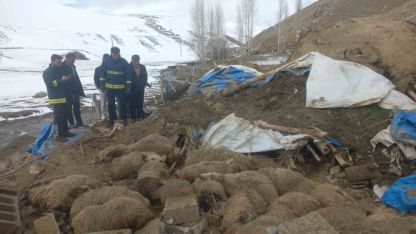 Van Gürpınar’da Kar Yüküne Dayanamayan Ahır Çöktü: 23 Küçükbaş Hayvan Telef Oldu
