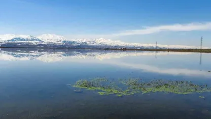 Doğu Anadolu Bölgesi İçin Kritik Uyarı: Buzlanma, Sis ve Çığ Tehlikesi Kapıda