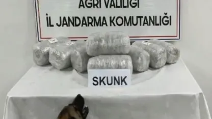 Ağrı’da Uyuşturucu Operasyonu: 10 Kilogram Skunk Ele Geçirildi