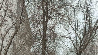 Ağrı Diyadin'de Nisan Ayında Kar Sürprizi